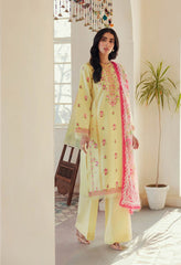 Exclusive Eid Collection Rajbari Essentials D 01